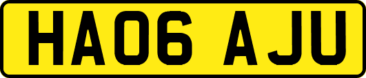 HA06AJU