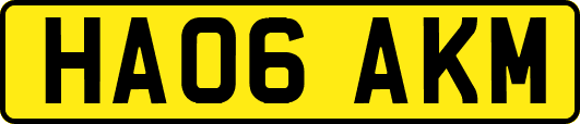 HA06AKM