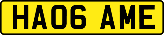 HA06AME