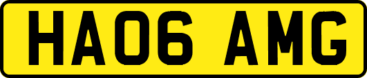 HA06AMG