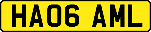 HA06AML