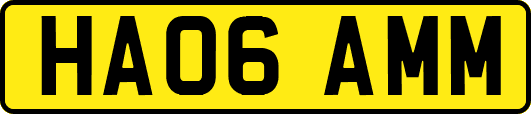 HA06AMM