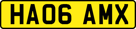 HA06AMX
