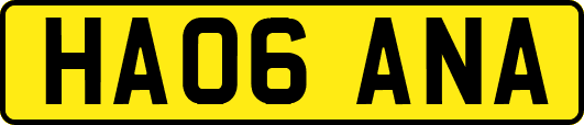 HA06ANA