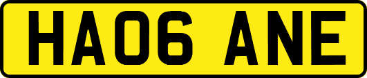 HA06ANE