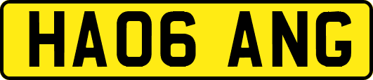HA06ANG
