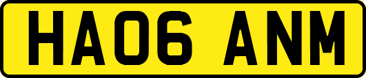 HA06ANM