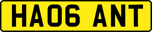 HA06ANT