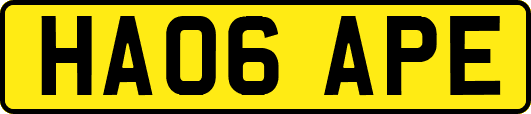 HA06APE