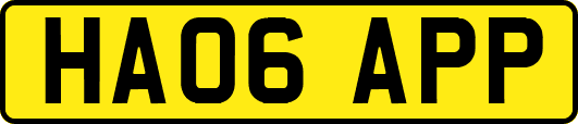 HA06APP