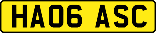 HA06ASC