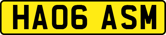 HA06ASM