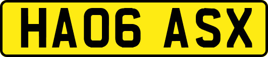 HA06ASX