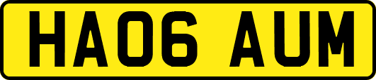 HA06AUM