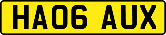 HA06AUX