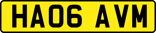 HA06AVM