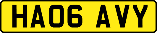 HA06AVY