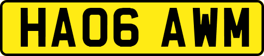 HA06AWM