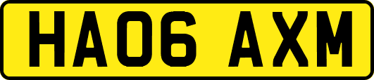 HA06AXM