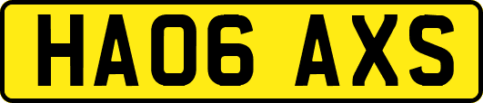 HA06AXS