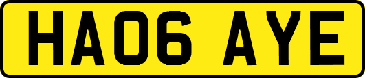 HA06AYE