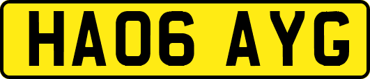 HA06AYG