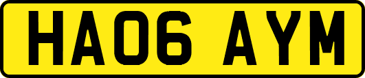 HA06AYM