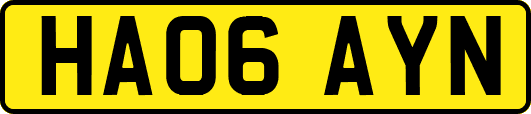 HA06AYN