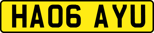 HA06AYU