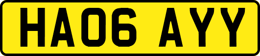 HA06AYY