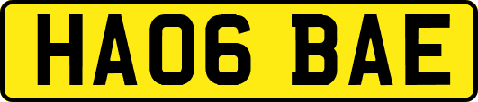 HA06BAE