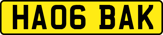 HA06BAK