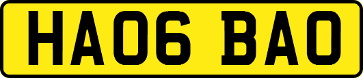 HA06BAO