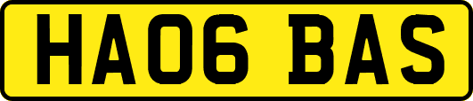 HA06BAS