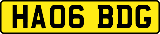 HA06BDG