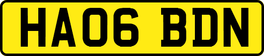 HA06BDN