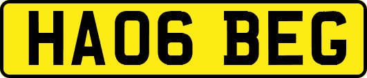 HA06BEG