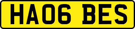 HA06BES