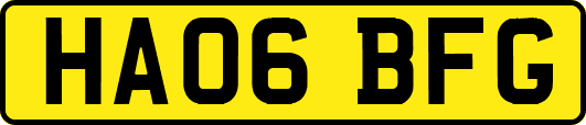 HA06BFG