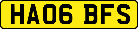 HA06BFS