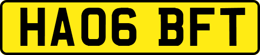 HA06BFT
