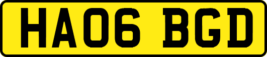 HA06BGD