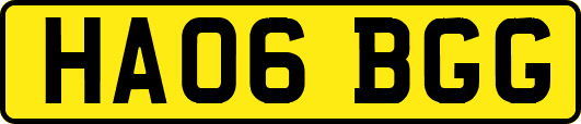 HA06BGG