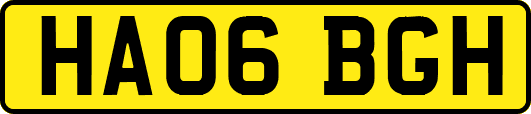 HA06BGH