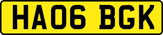 HA06BGK