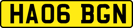 HA06BGN