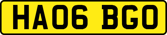 HA06BGO