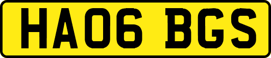 HA06BGS