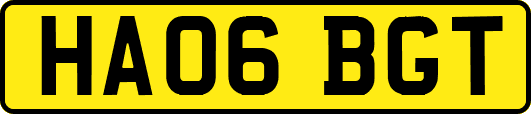 HA06BGT