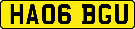 HA06BGU